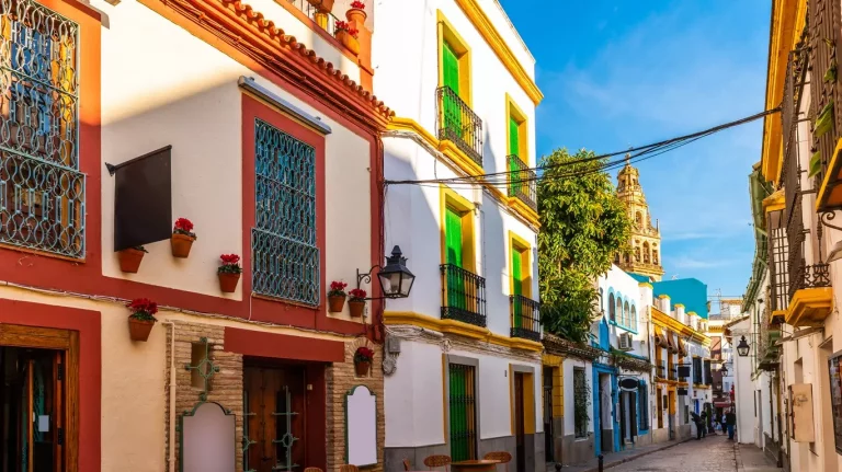 Ici figure une liste de tous les articles de ce site publiés ou mis à jour récemment mais non classés. Vous pouvez les retrouver classés par catégories dans les autres onglets de ce menu de navigation.